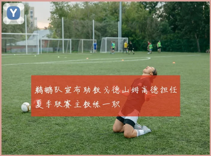 鹈鹕队宣布助教戈德山姆高德担任夏季联赛主教练一职